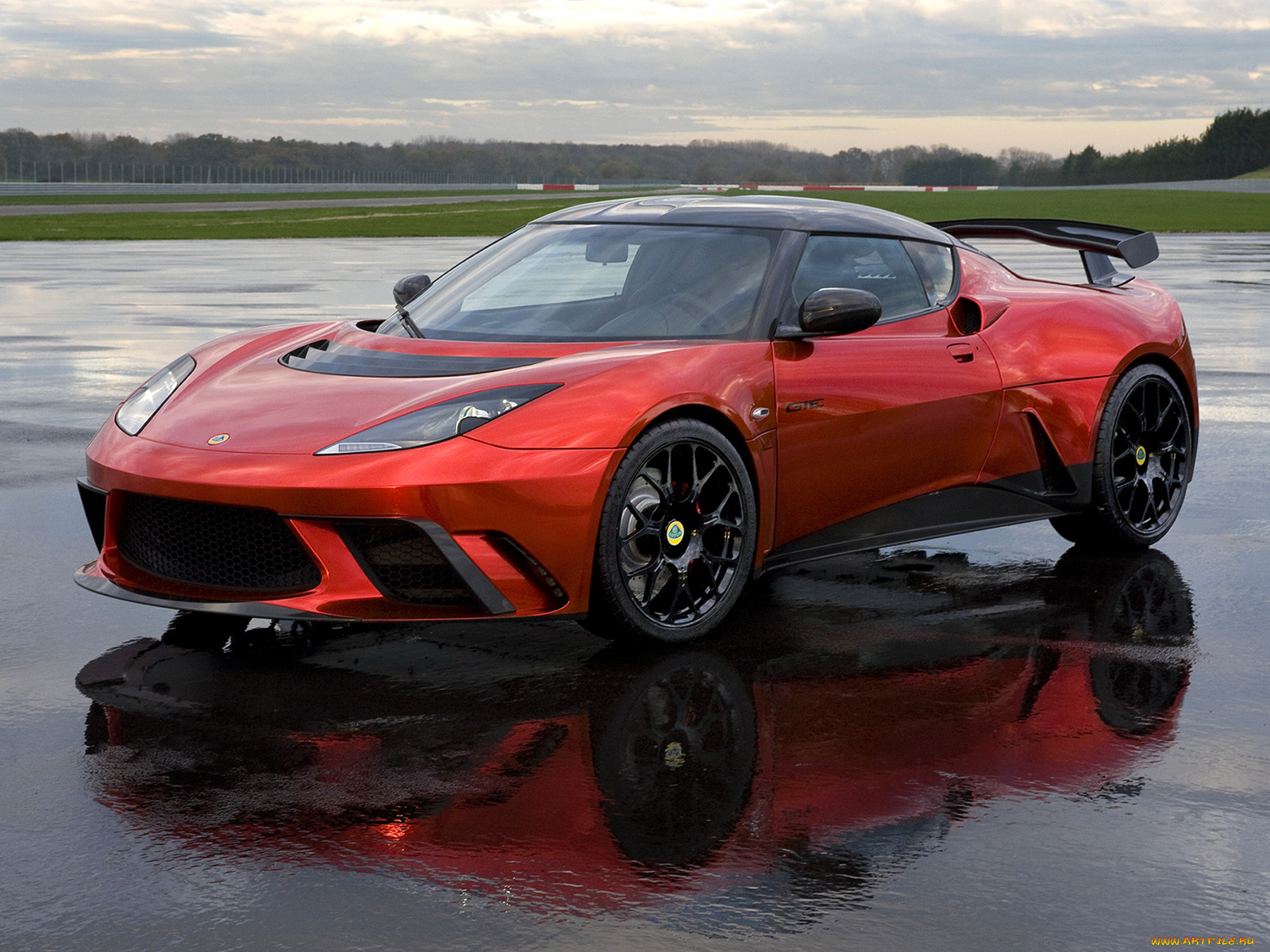 , lotus, evora